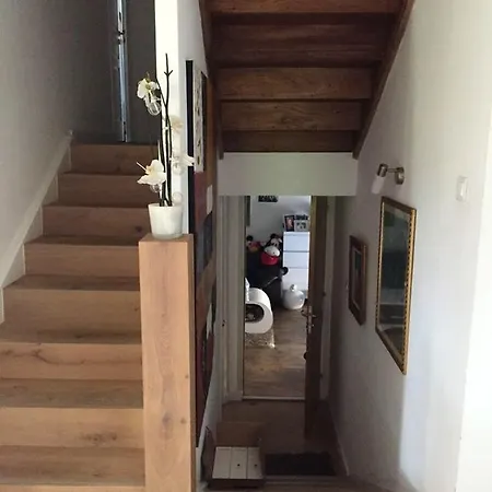 Villa De 4 Chambres A Ajaccio Avec Piscine Privee Jardin Clos Et Wifi A 2 Km De La Plage *